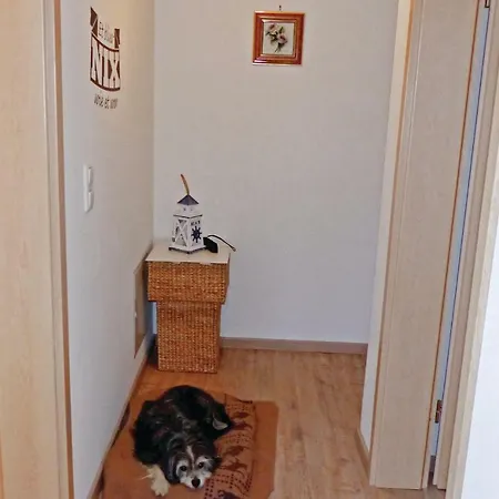 بيت للعطل 13 *